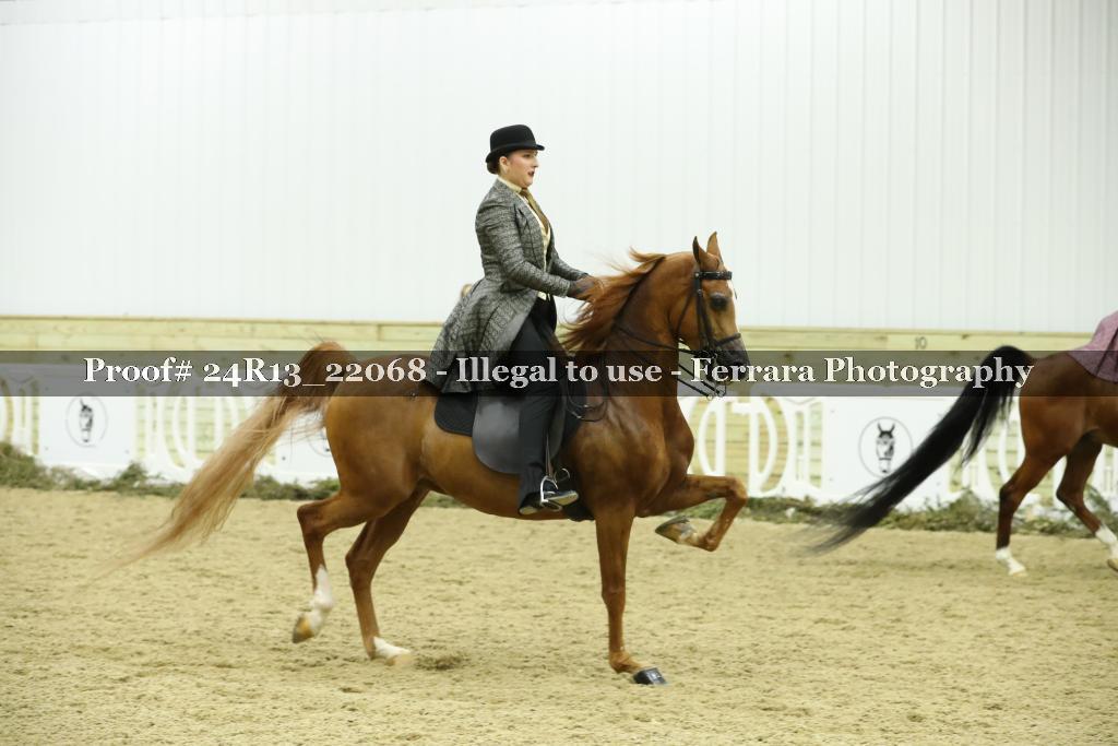 Proof 24R13_22068