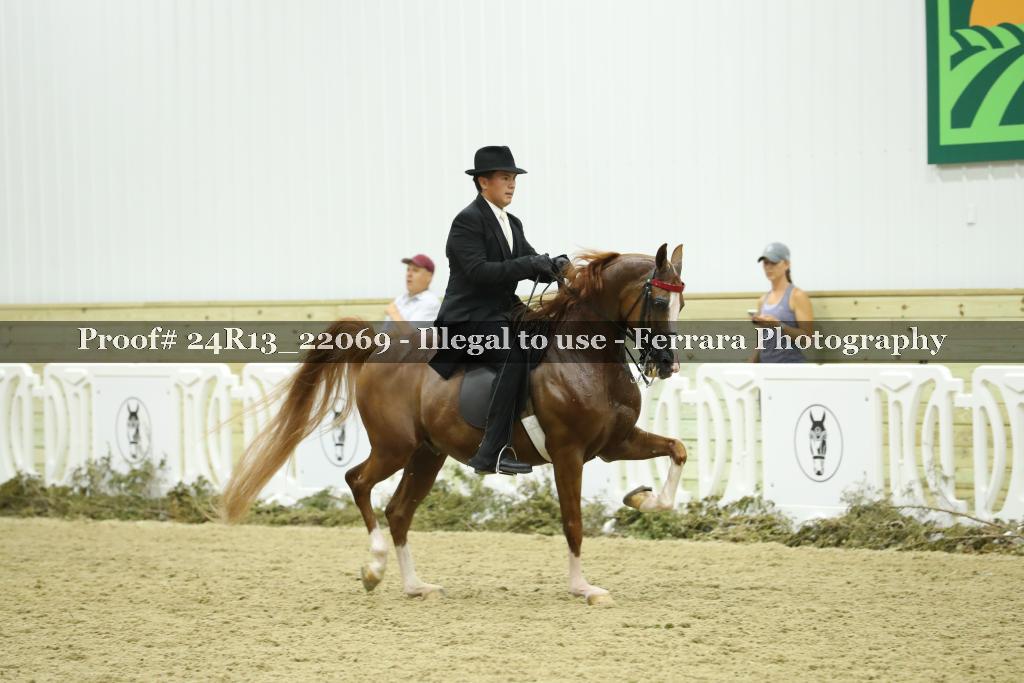 Proof 24R13_22069