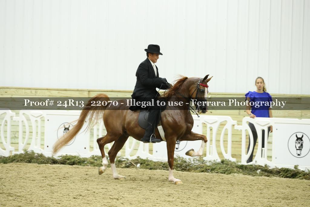 Proof 24R13_22070