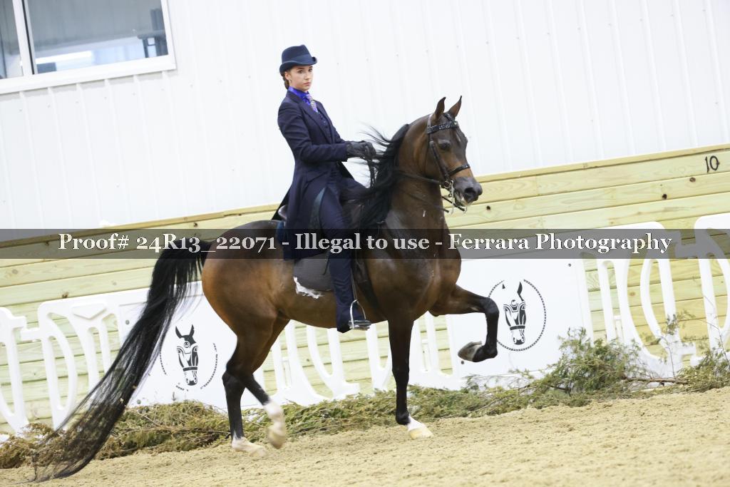 Proof 24R13_22071