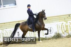 24R13_22071 proof