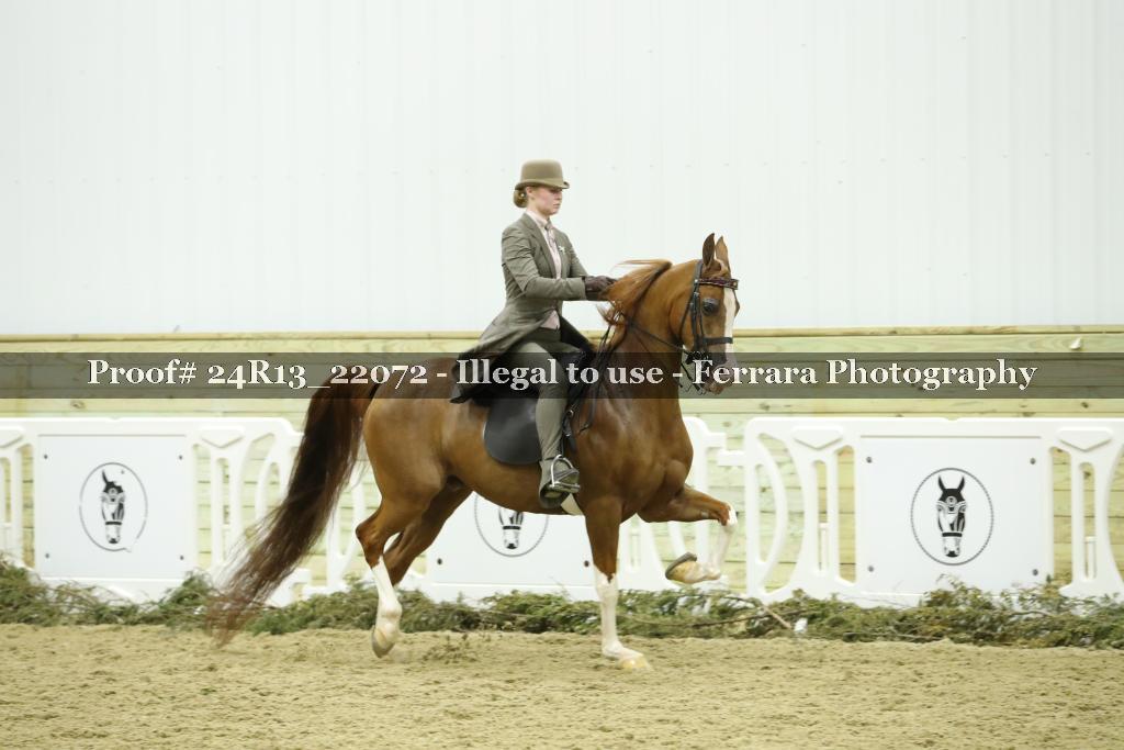 Proof 24R13_22072