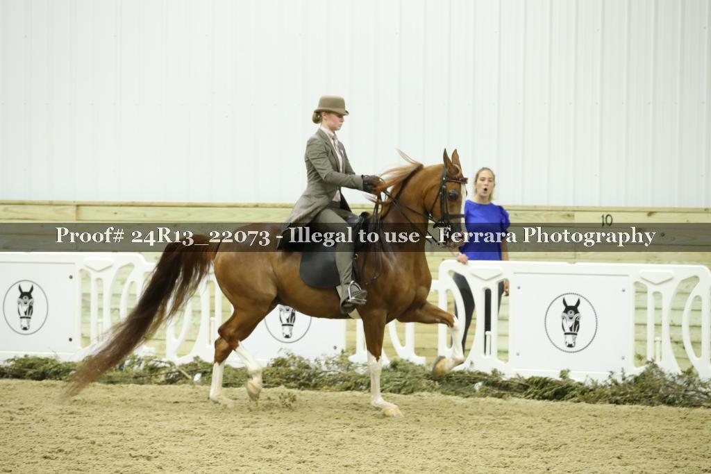 Proof 24R13_22073