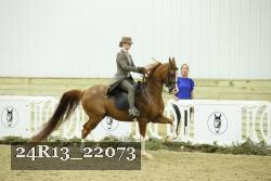 24R13_22073 proof