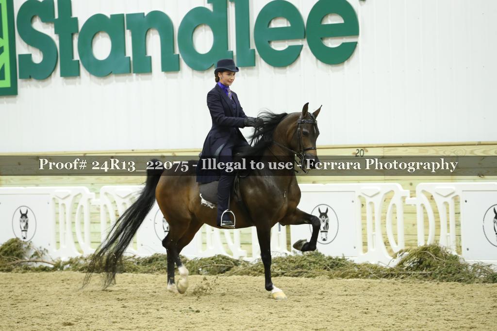 Proof 24R13_22075