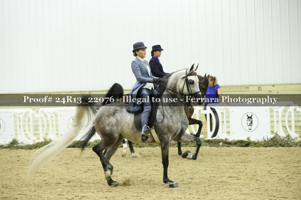 Proof 24R13_22076