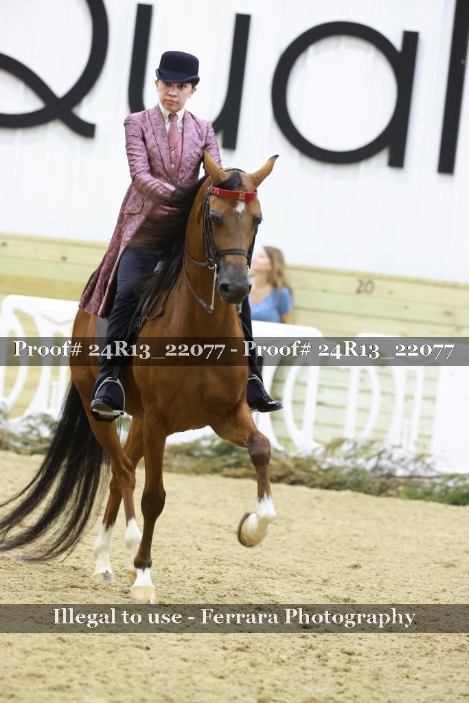 Proof 24R13_22077