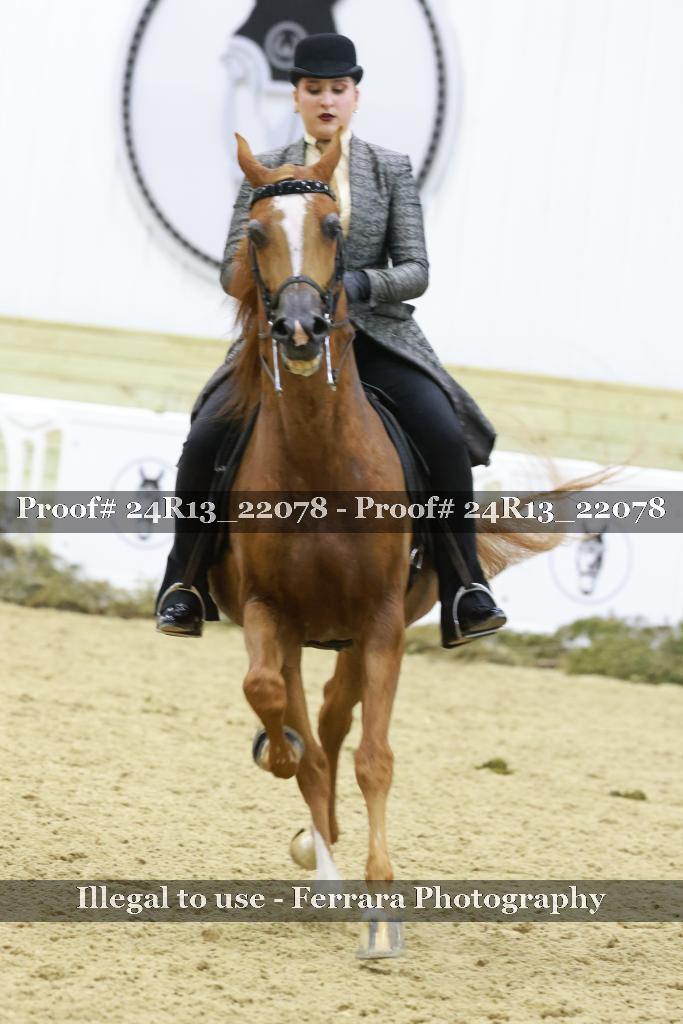 Proof 24R13_22078