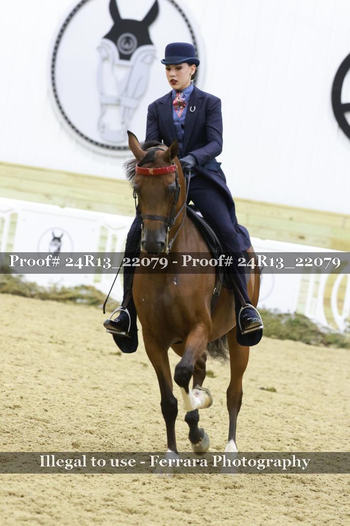 Proof 24R13_22079