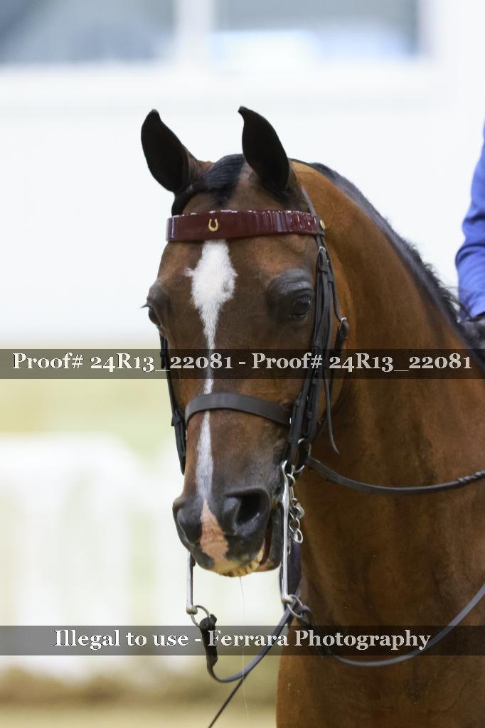 Proof 24R13_22081