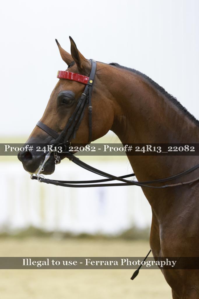 Proof 24R13_22082