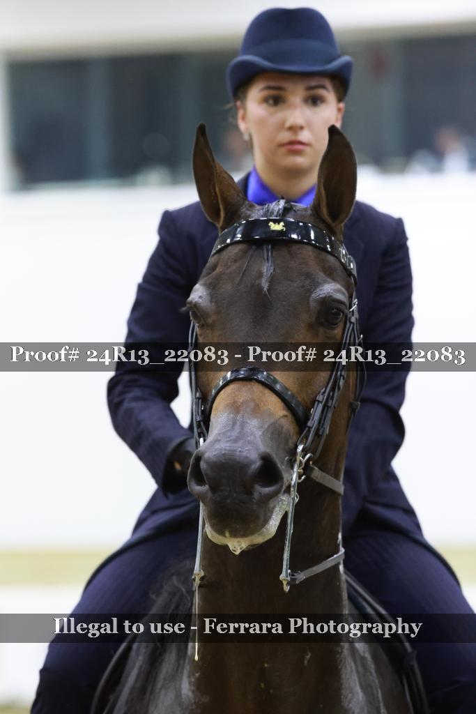 Proof 24R13_22083