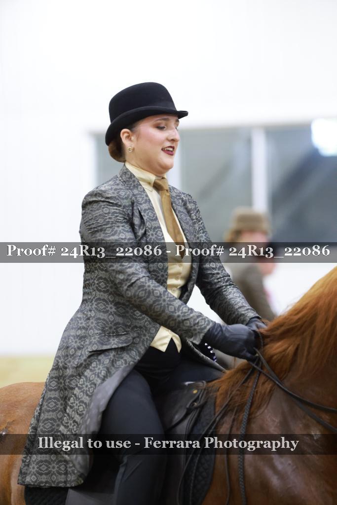 Proof 24R13_22086