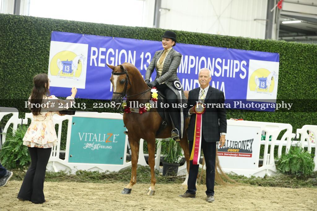 Proof 24R13_22087