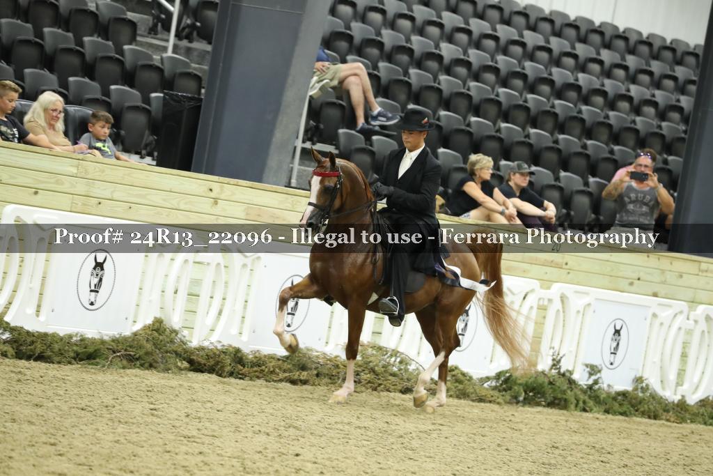 Proof 24R13_22096