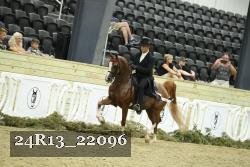 24R13_22096 proof