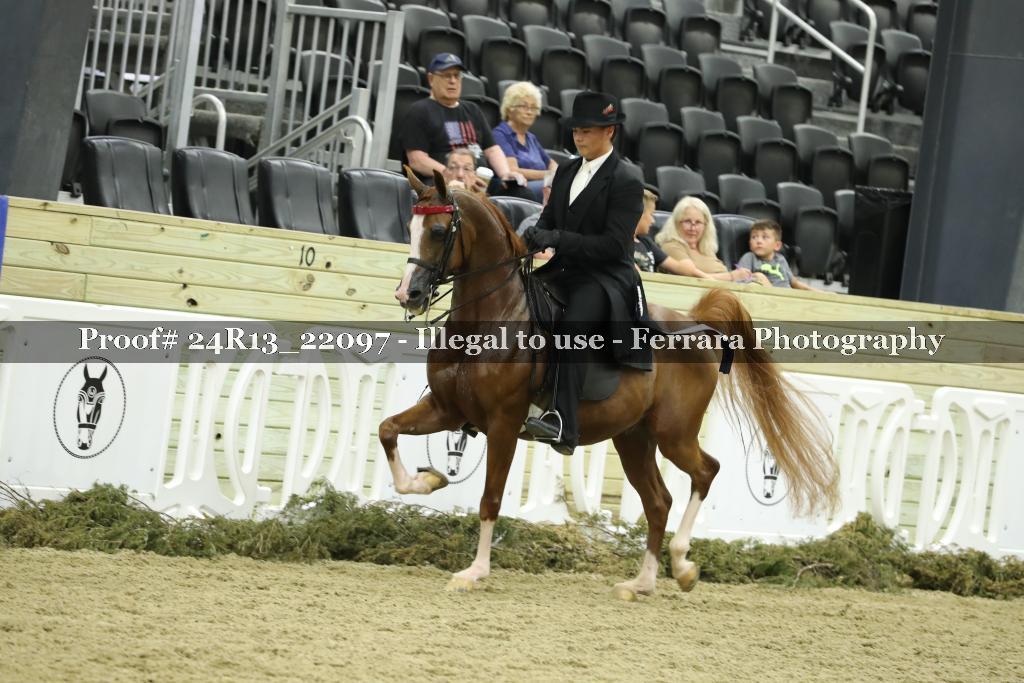 Proof 24R13_22097