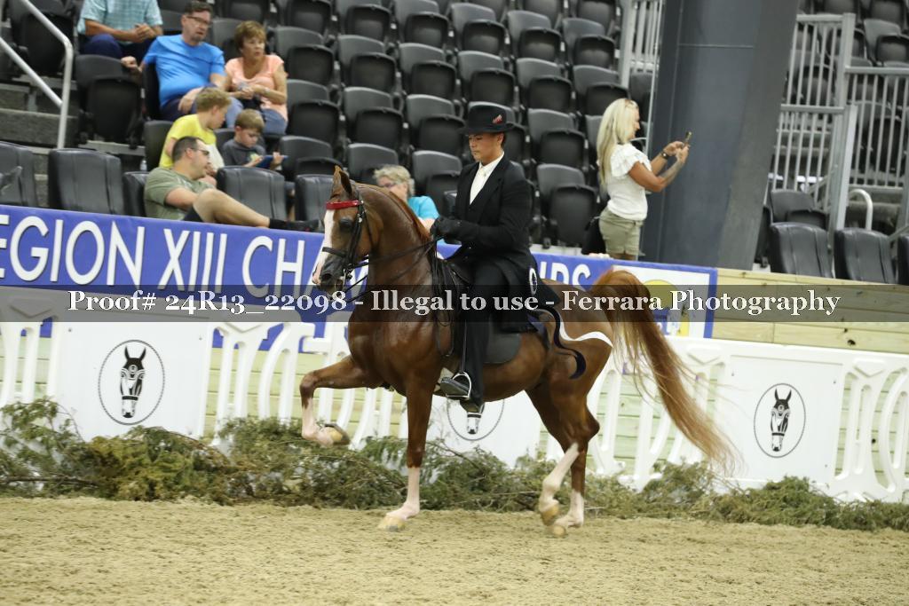 Proof 24R13_22098