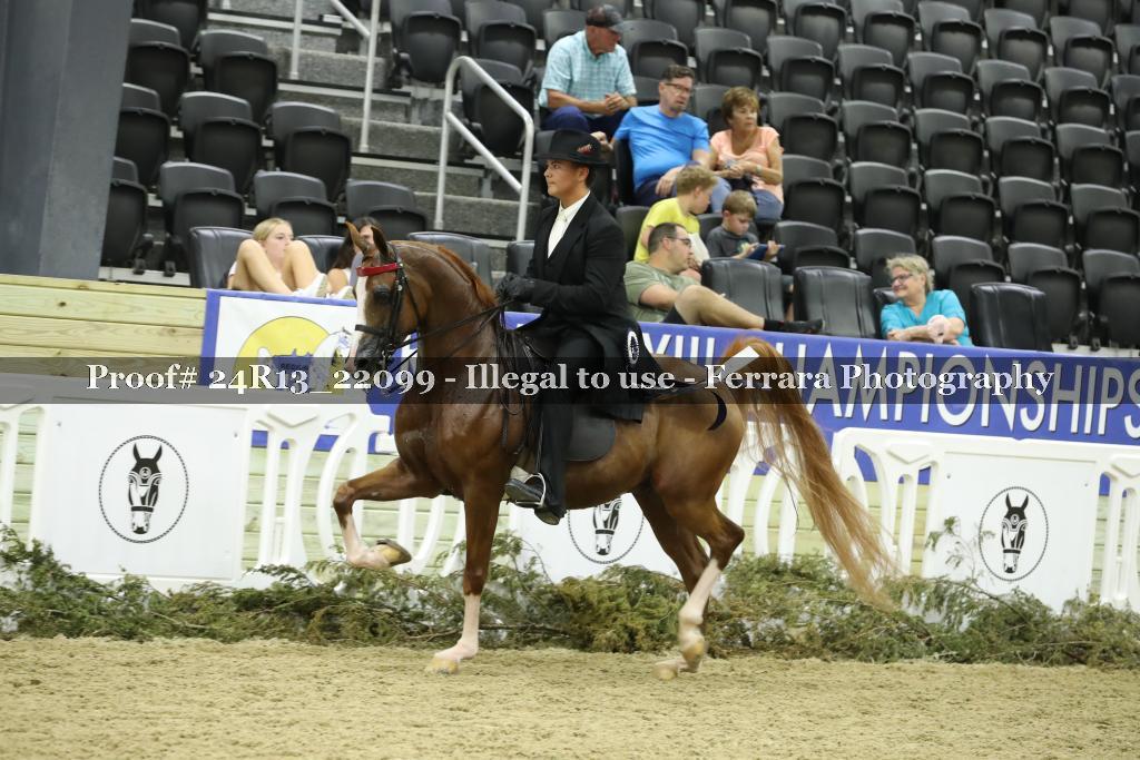 Proof 24R13_22099