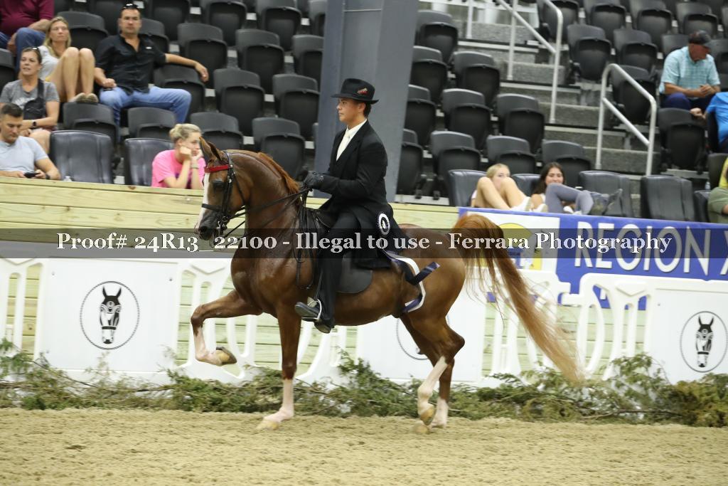Proof 24R13_22100