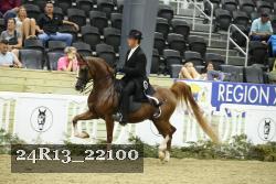 24R13_22100 proof