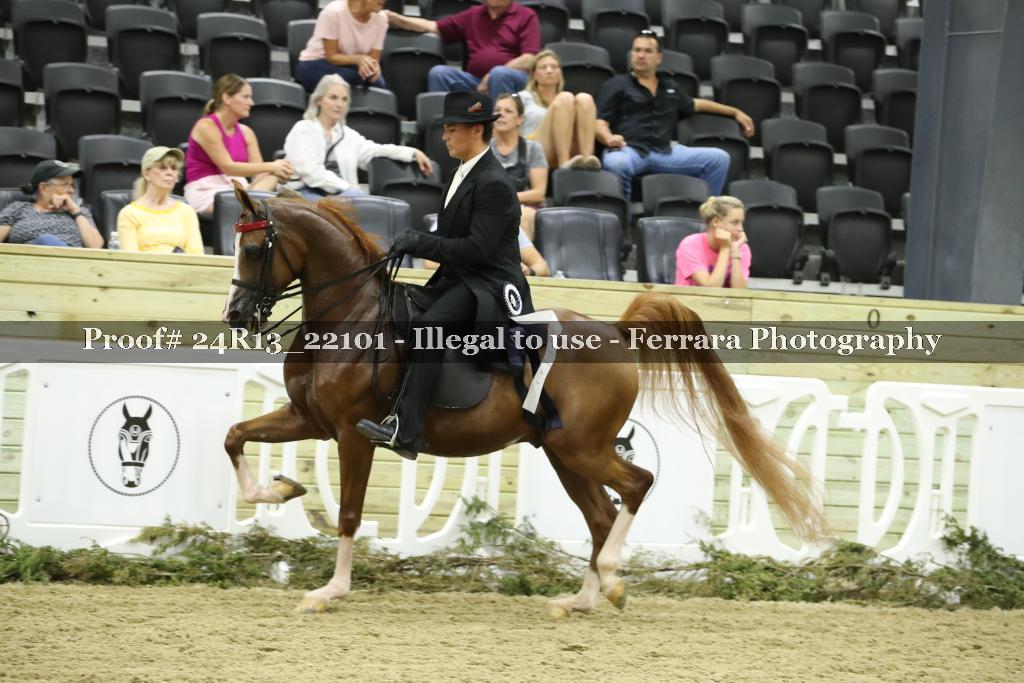 Proof 24R13_22101
