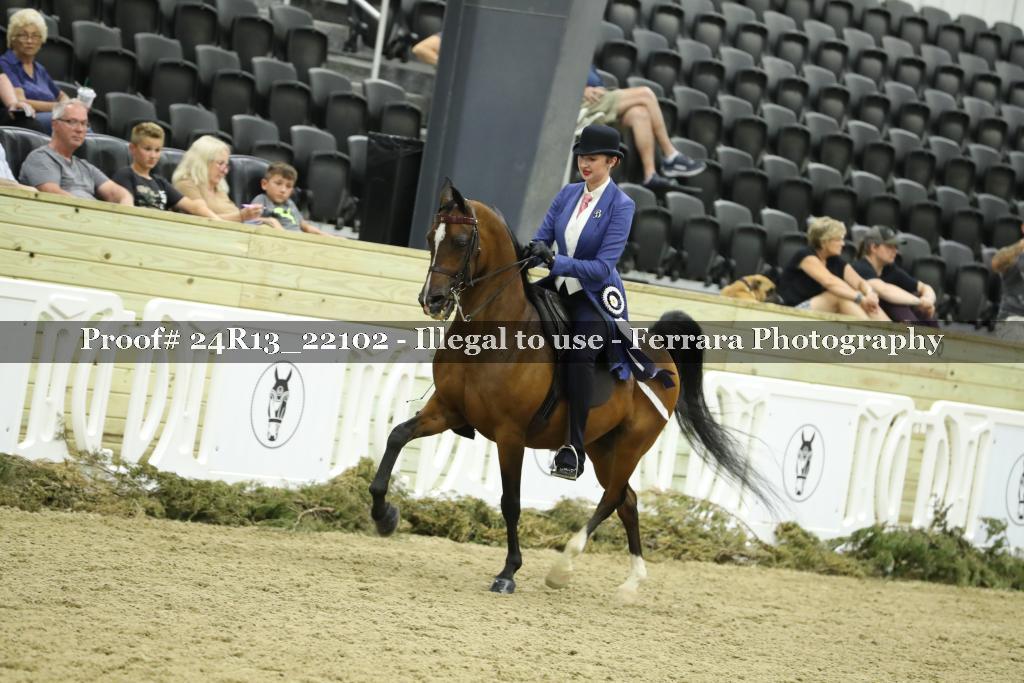 Proof 24R13_22102