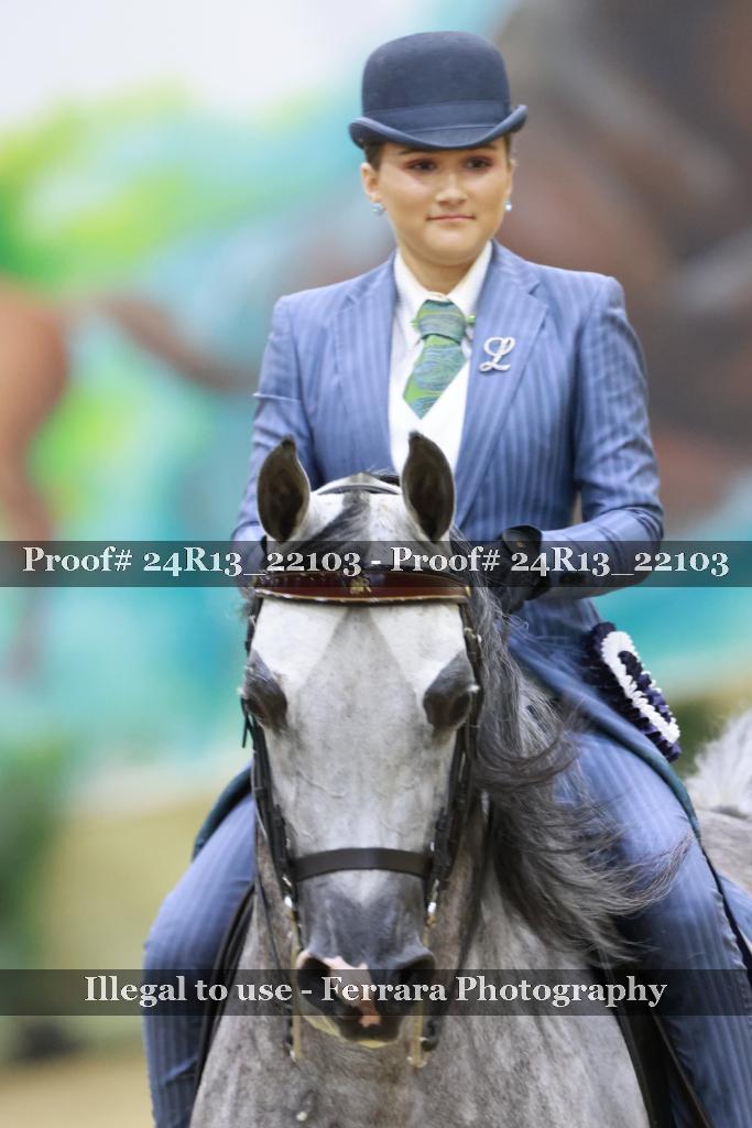 Proof 24R13_22103