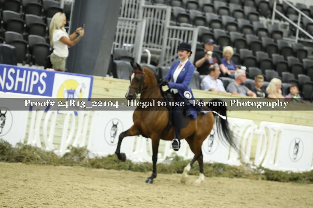 Proof 24R13_22104