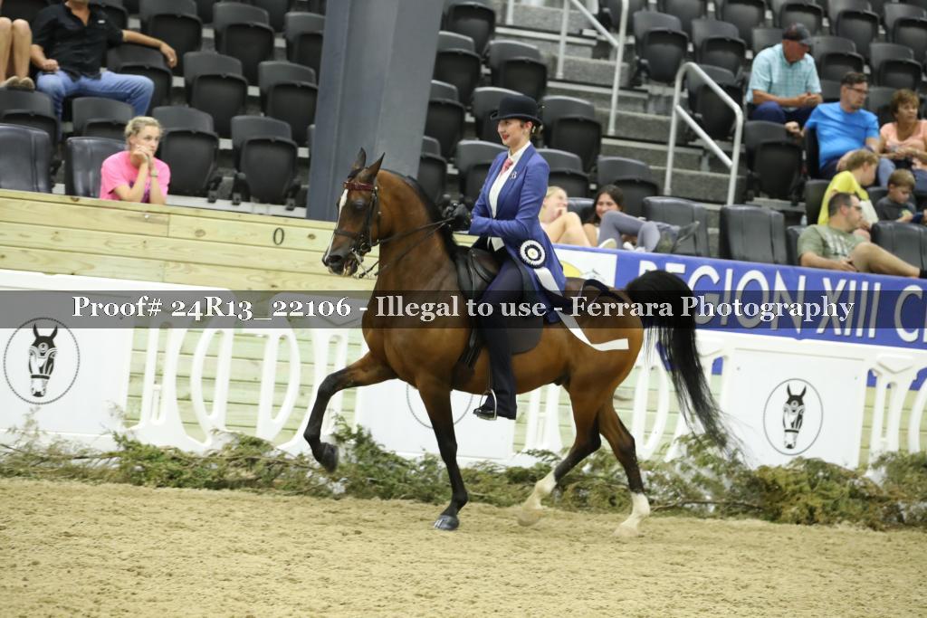 Proof 24R13_22106