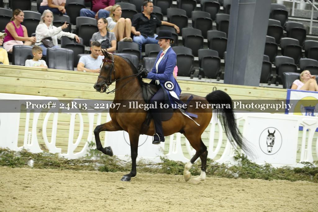 Proof 24R13_22107