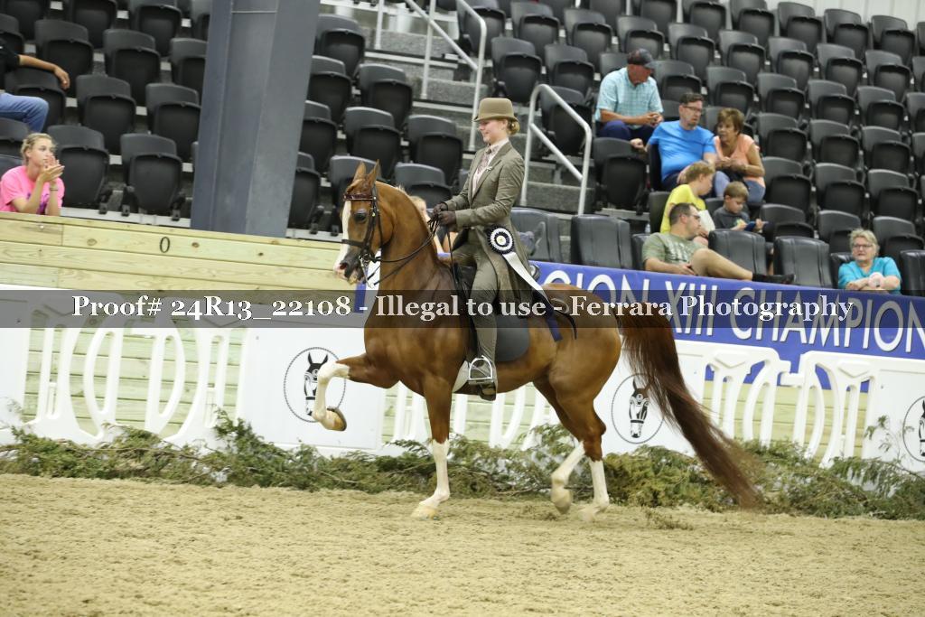 Proof 24R13_22108