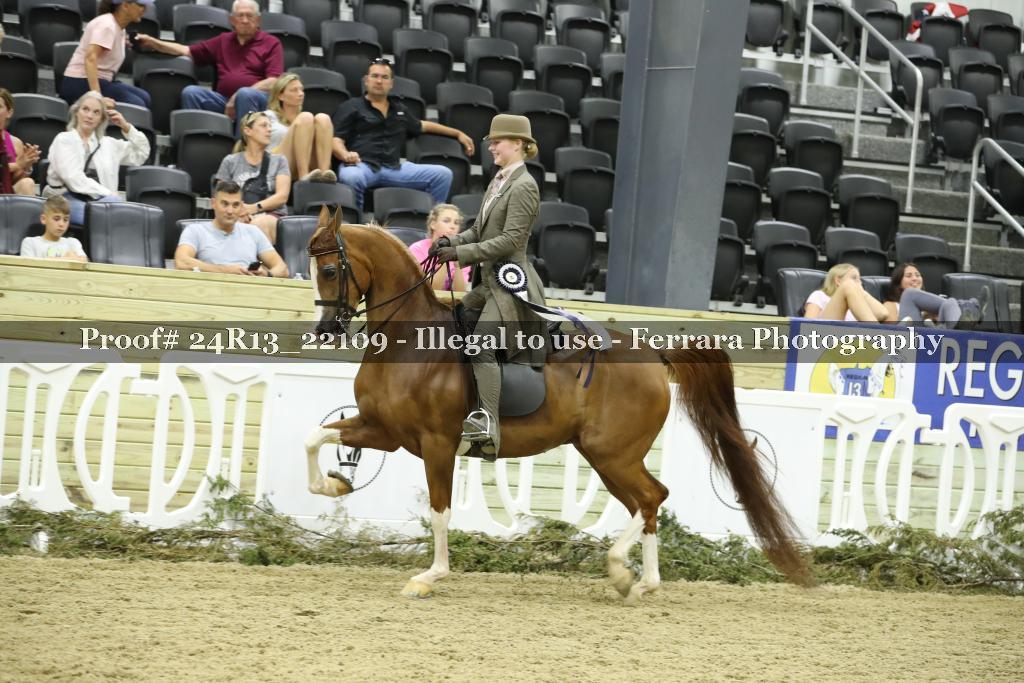 Proof 24R13_22109
