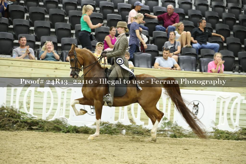 Proof 24R13_22110