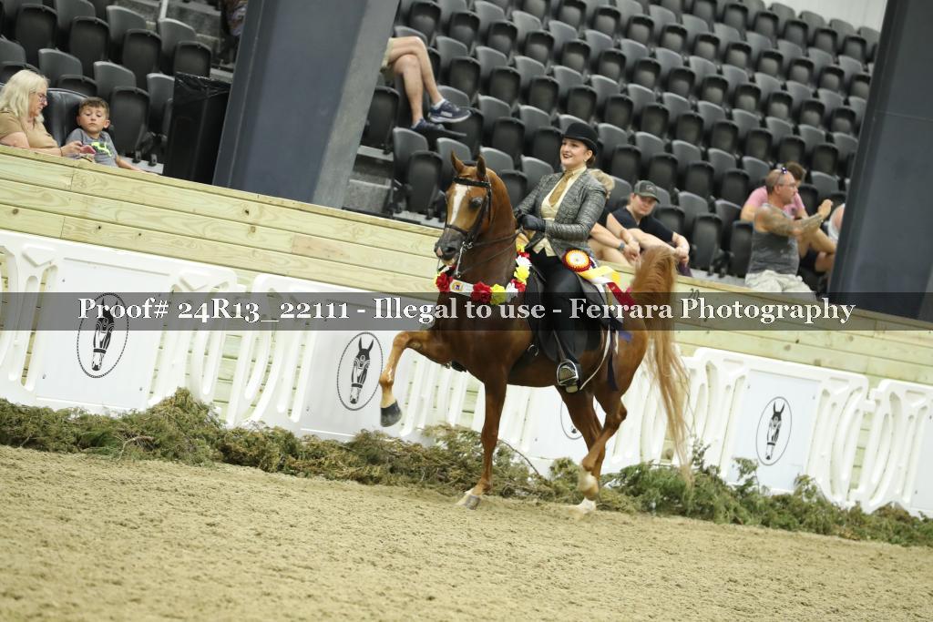 Proof 24R13_22111