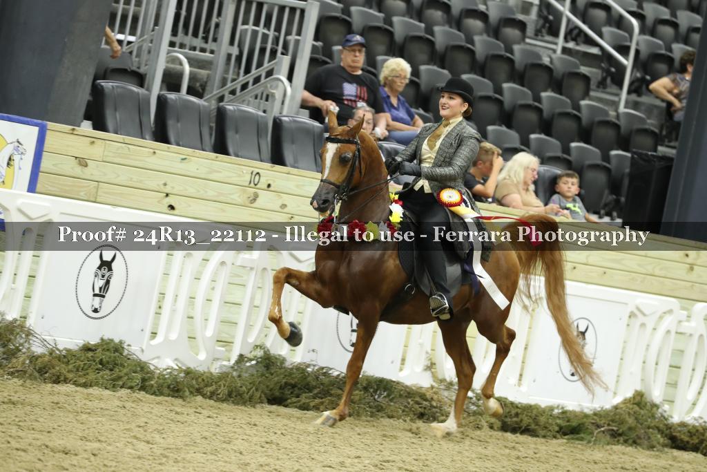 Proof 24R13_22112