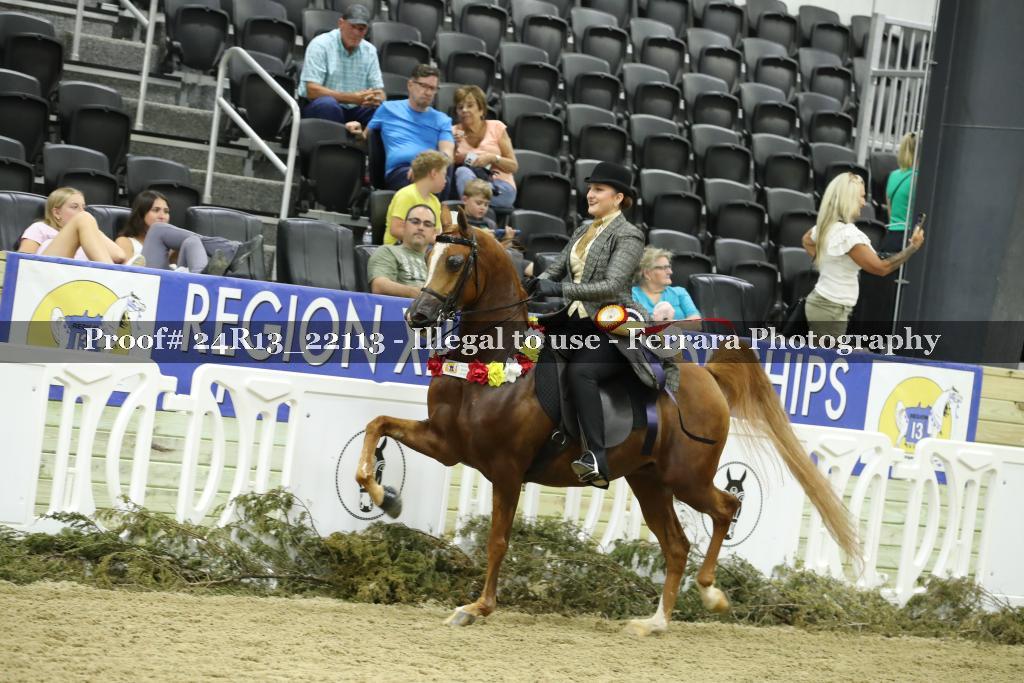 Proof 24R13_22113