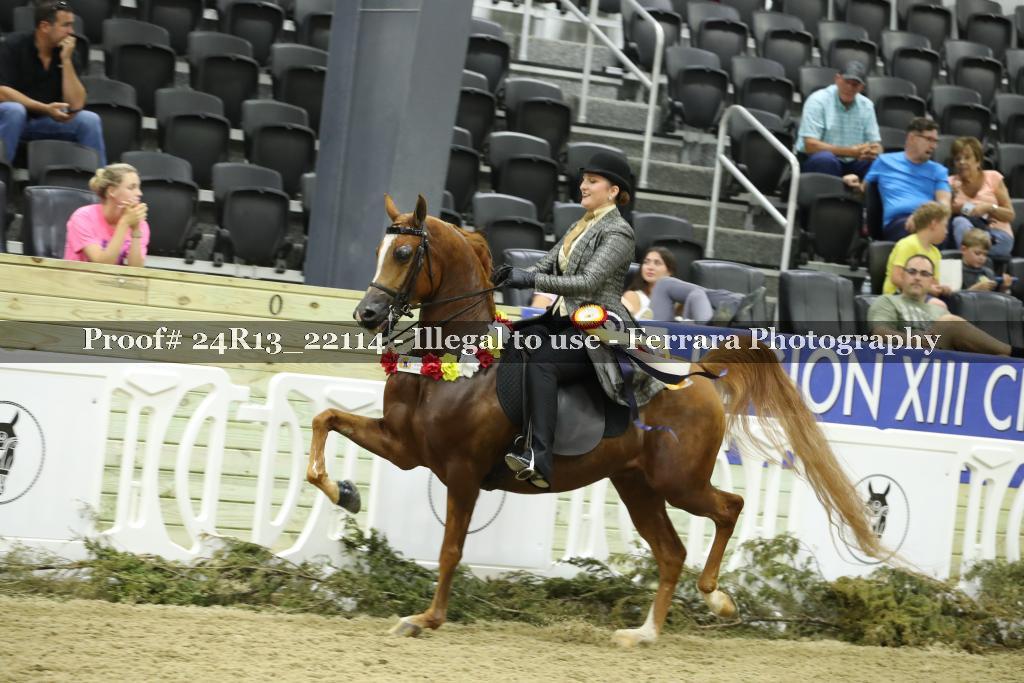 Proof 24R13_22114