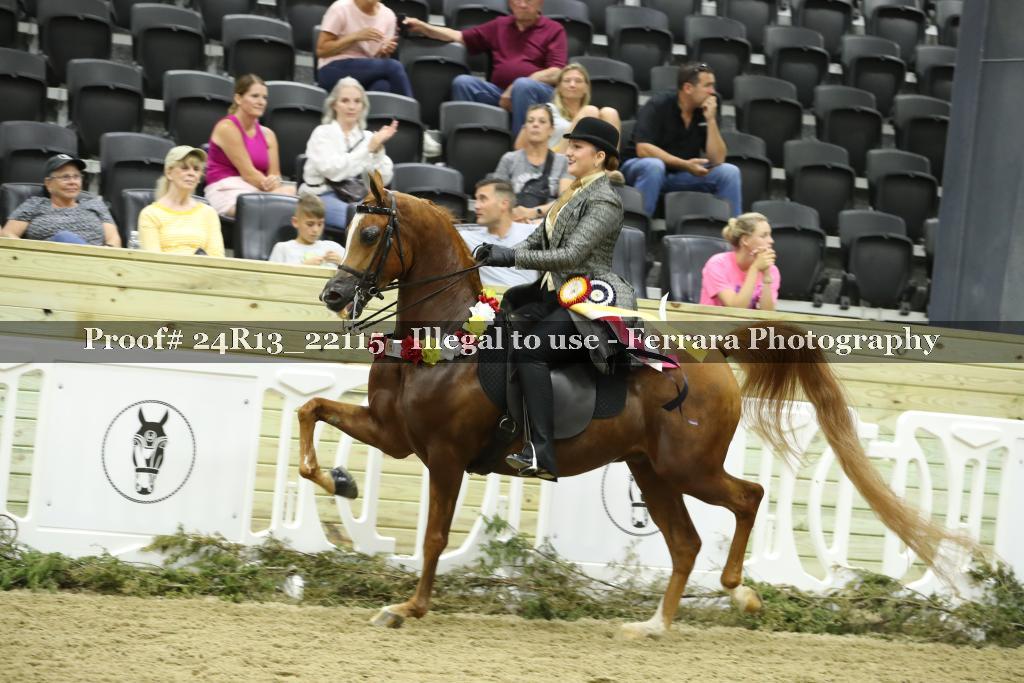 Proof 24R13_22115
