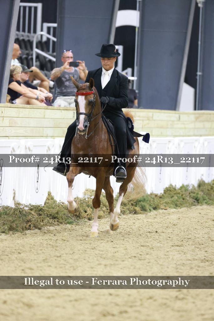 Proof 24R13_22117