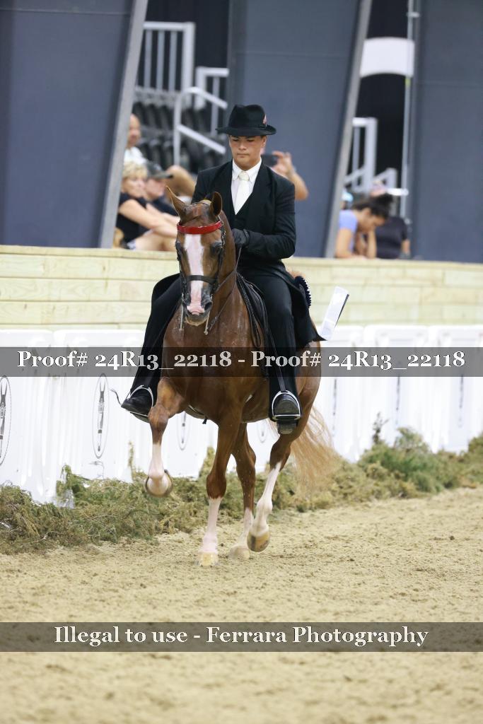 Proof 24R13_22118