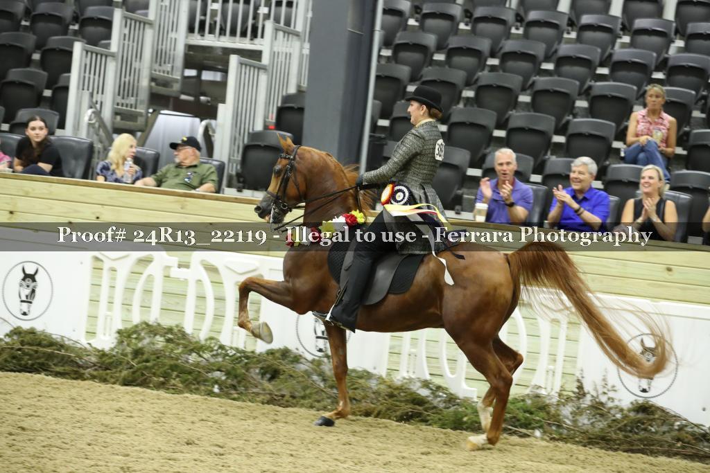 Proof 24R13_22119