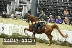 24R13_22119 proof