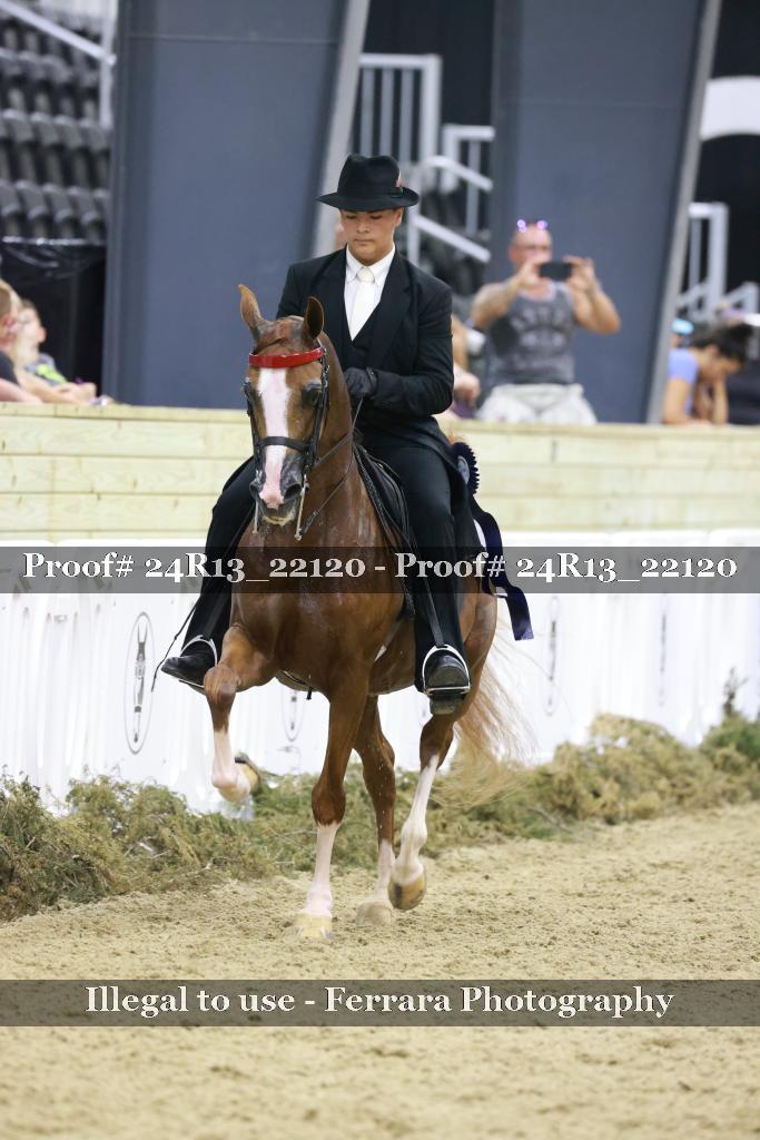 Proof 24R13_22120