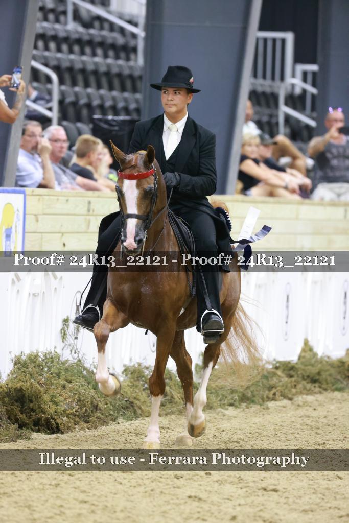 Proof 24R13_22121