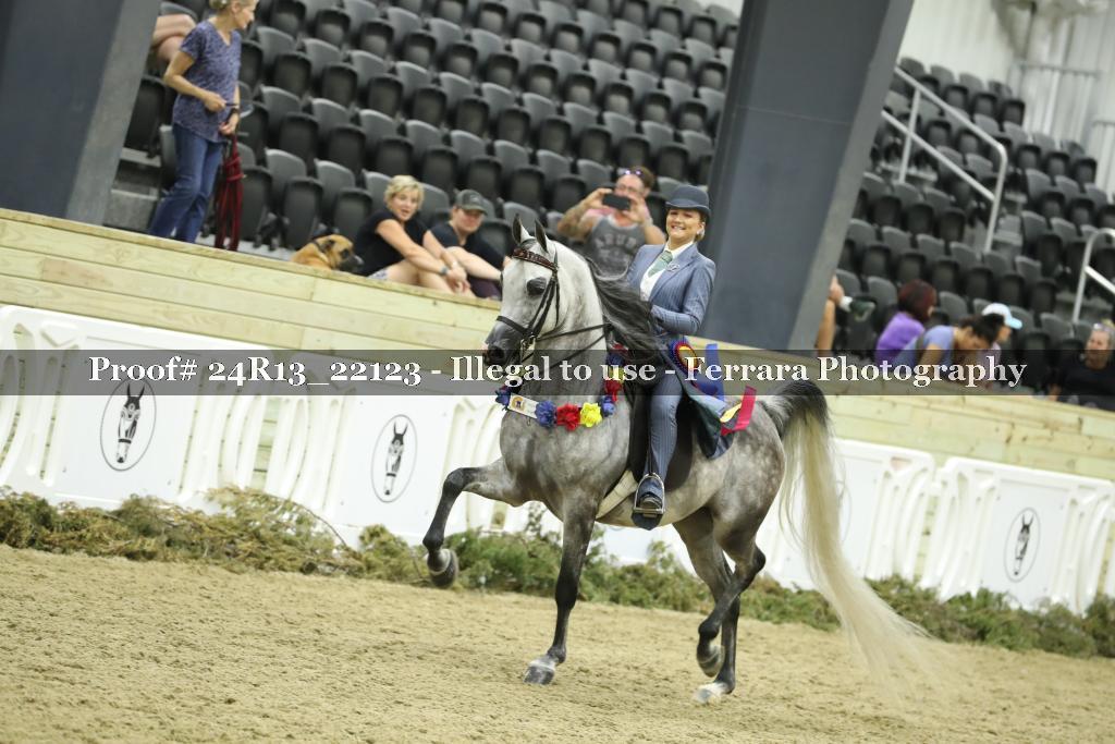 Proof 24R13_22123