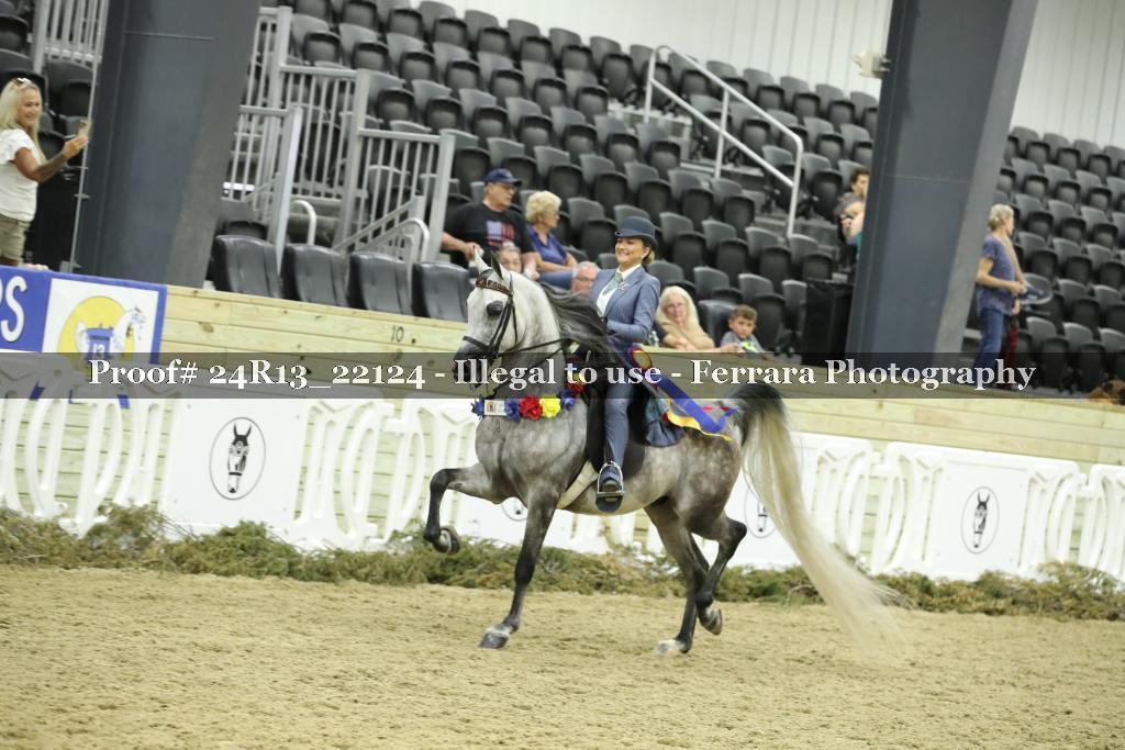 Proof 24R13_22124