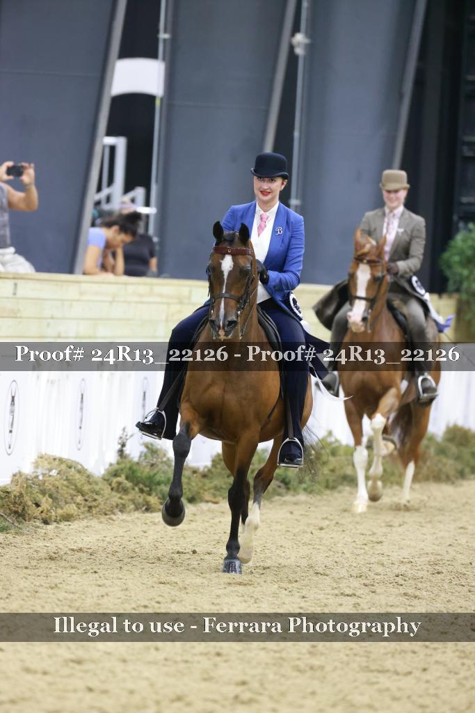 Proof 24R13_22126