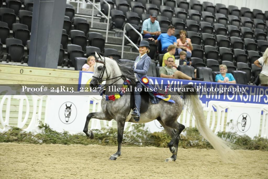 Proof 24R13_22127