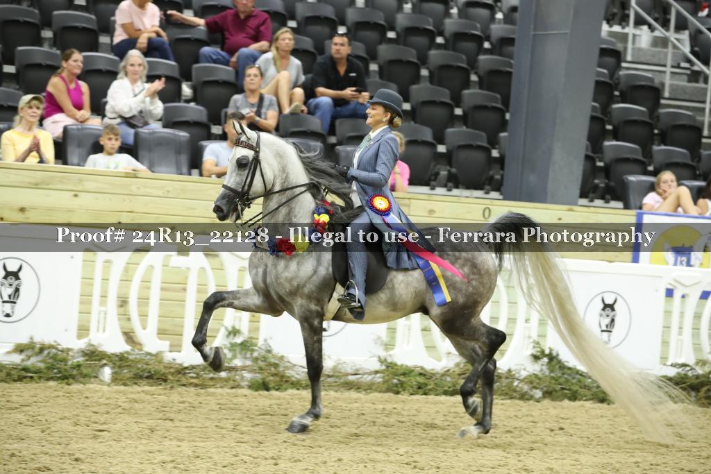 Proof 24R13_22128